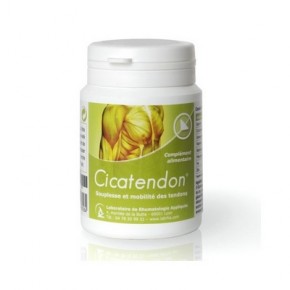 CICATENDON®: First supplement specially designed to keep tendon strong and healthy CICATENDON®: First supplement specially designed to keep tendon strong and healthy