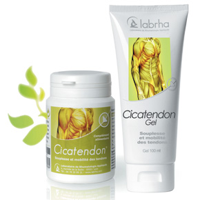 CICATENDON® PACK*: A complete action on tendons whatever their localisation CICATENDON® PACK*: A complete action on tendons whatever their localisation