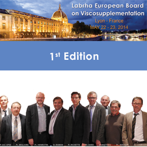 Labrha European Board on Viscosupplementation - 1st Edition - Labrha European Board on Viscosupplementation - 1st Edition -