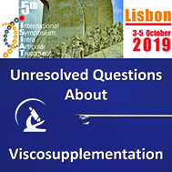 Unresolved questions about viscosupplementation