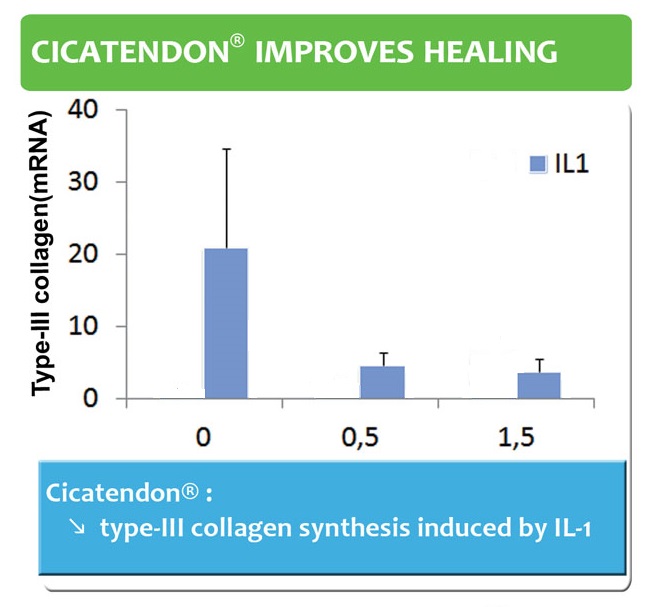 Cica improves healing