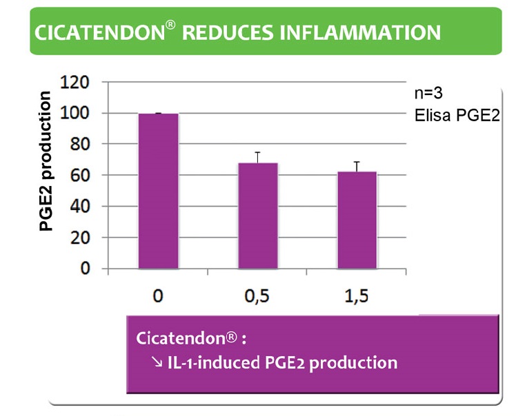 Cica reduces inflammation