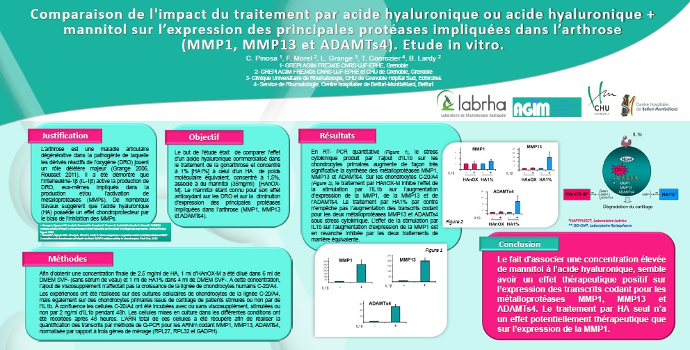 Poster Mannitol MMP ADAMT SFR2014